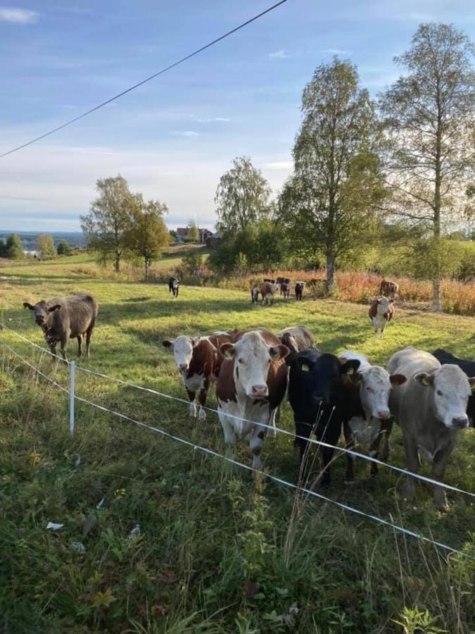 Grindstugan Pa Fyras Gard Hammerdal Kültér fotó