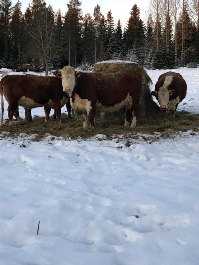 Grindstugan Pa Fyras Gard Hammerdal Kültér fotó