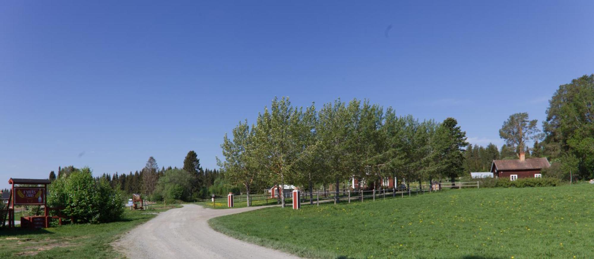 Grindstugan Pa Fyras Gard Hammerdal Kültér fotó